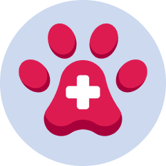 [ini yg termasuk wajib tahu !!!][yg bisa terkait] Solusi Kesehatan Terlengkap, Chat dokter, kunjungi rumah sakit, beli obat, cek lab dan update inform Animal-health-v2